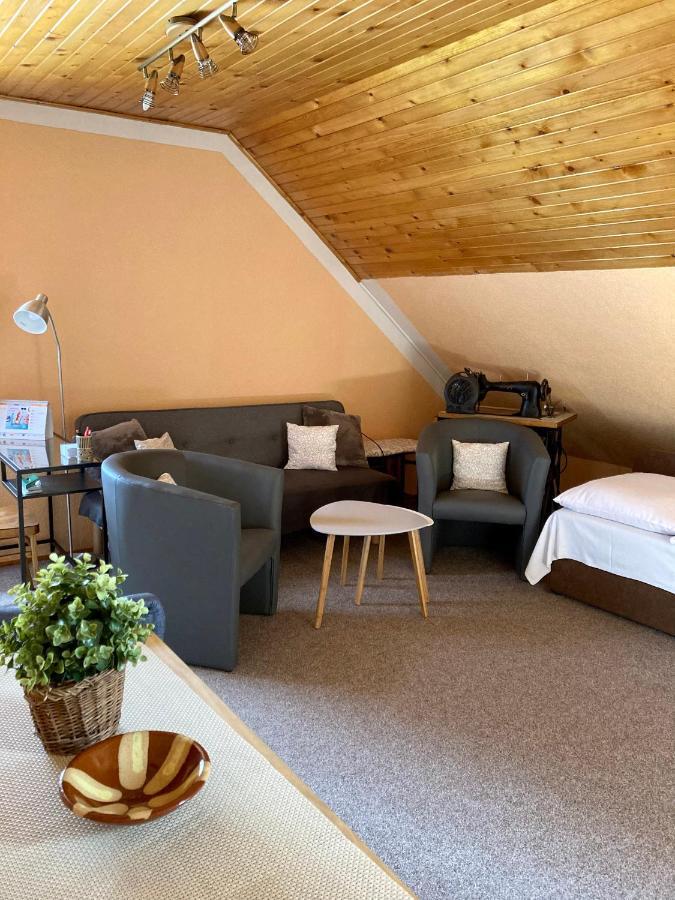 Penzion Vanessa Hotel Lipová-lázně Eksteriør billede